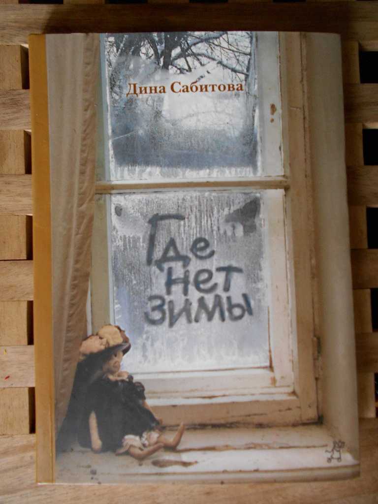 Где нет зимы дины сабитовой: краткое содержание книги