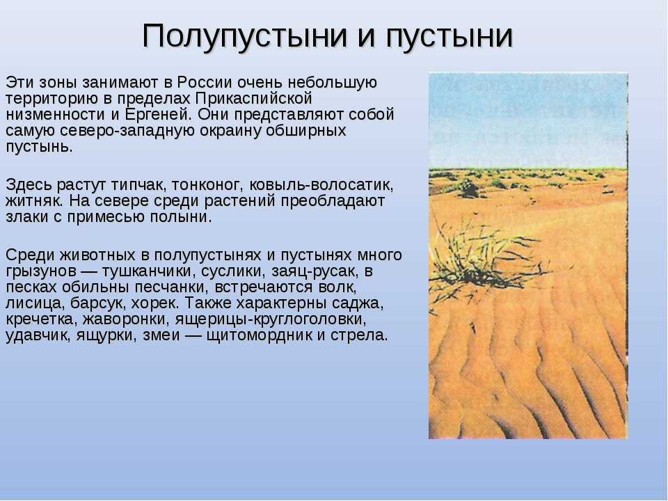 Зона пустынь и полупустынь россии: где находится, карта, климат, флора и фауна