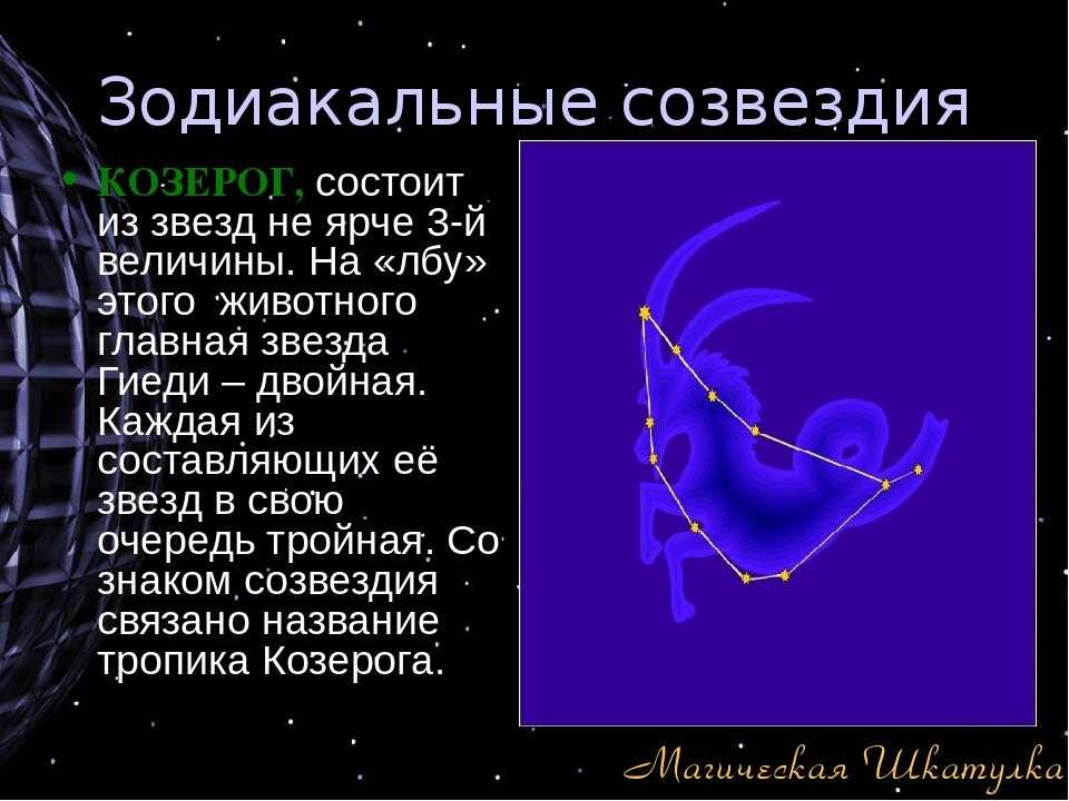 Созвездие льва: доклад по географии для 5 класса о зодиаке в астрономии