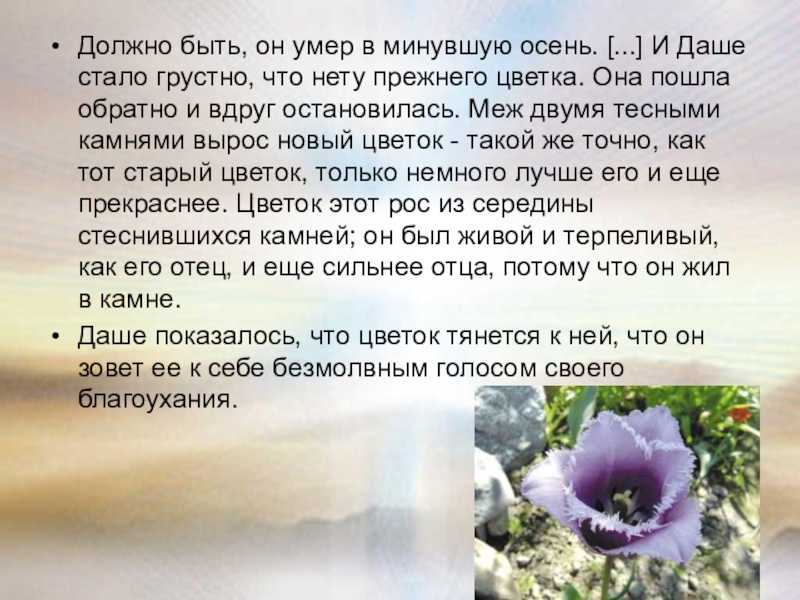 Краткое содержание сказки «неизвестный цветок» а. платонова
