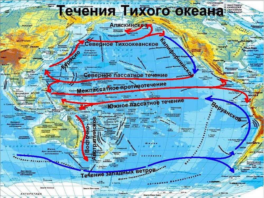 Теплые течения океанов