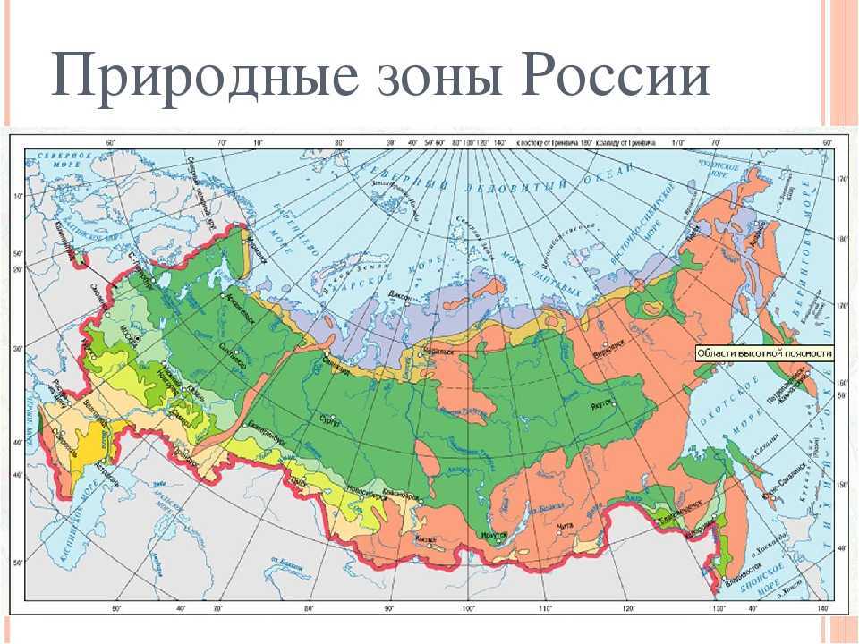Природная зона тундры