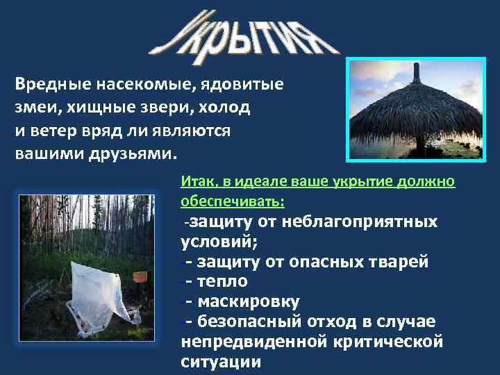 Особенности выживания в различных чс. основы выживания и жизнедеятельности спасателей