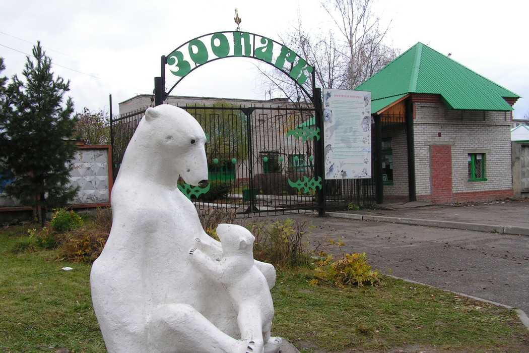 Северск — товики
