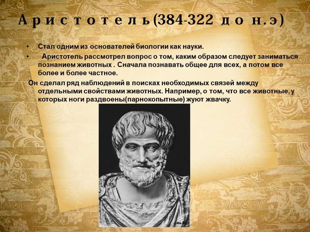 Аристотель: краткая биография, философия и основные идеи