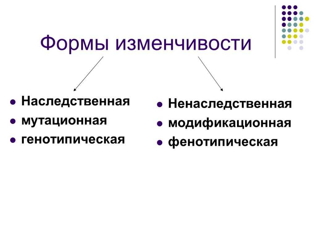 Презентация на тему теория эволюции ч. дарвина. формы естесственного отбора
