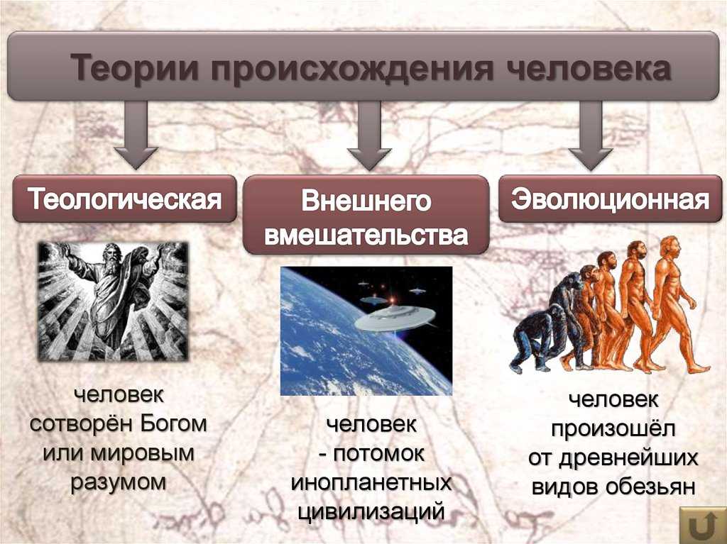 Версии происхождения человека. основные теории происхождения человека - роскомреалити