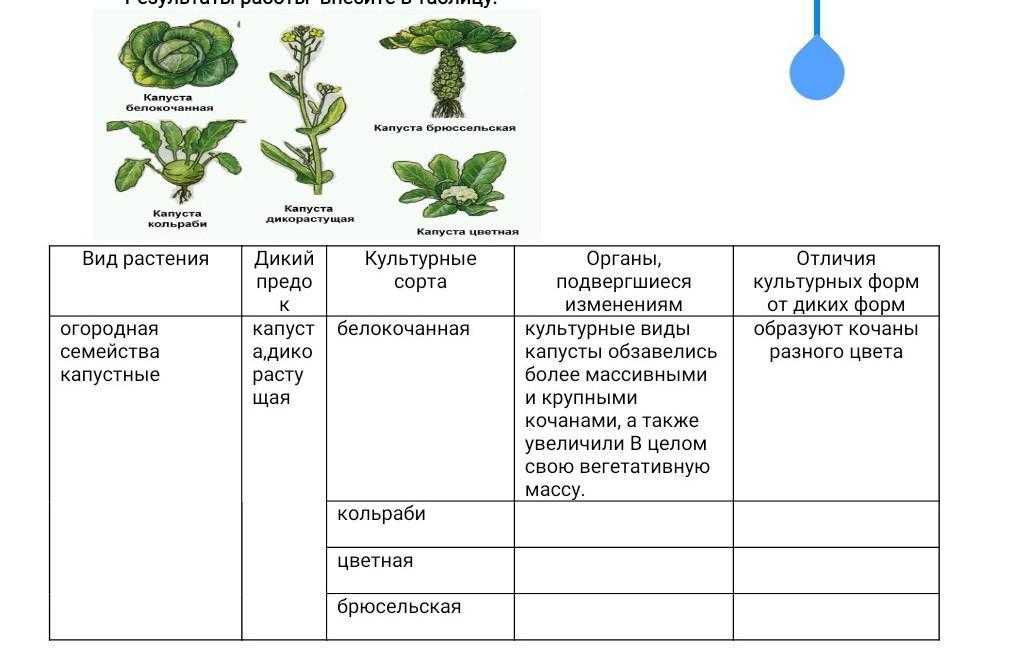 Почему учёные утверждают что у животных и растений были общие предки?