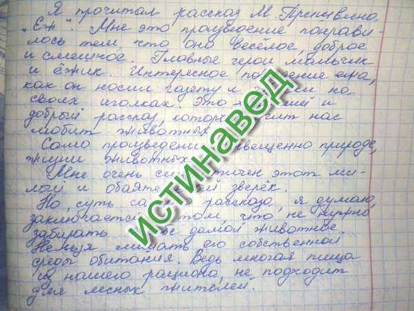 Читательский дневник по рассказу «ёж» михаила пришвина