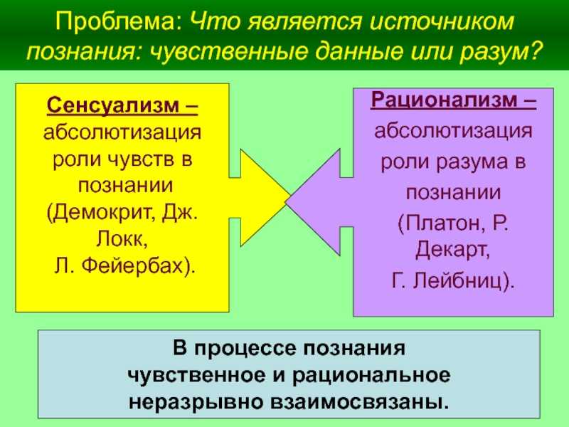 Сенсуализм и рационализм: в чём различия?