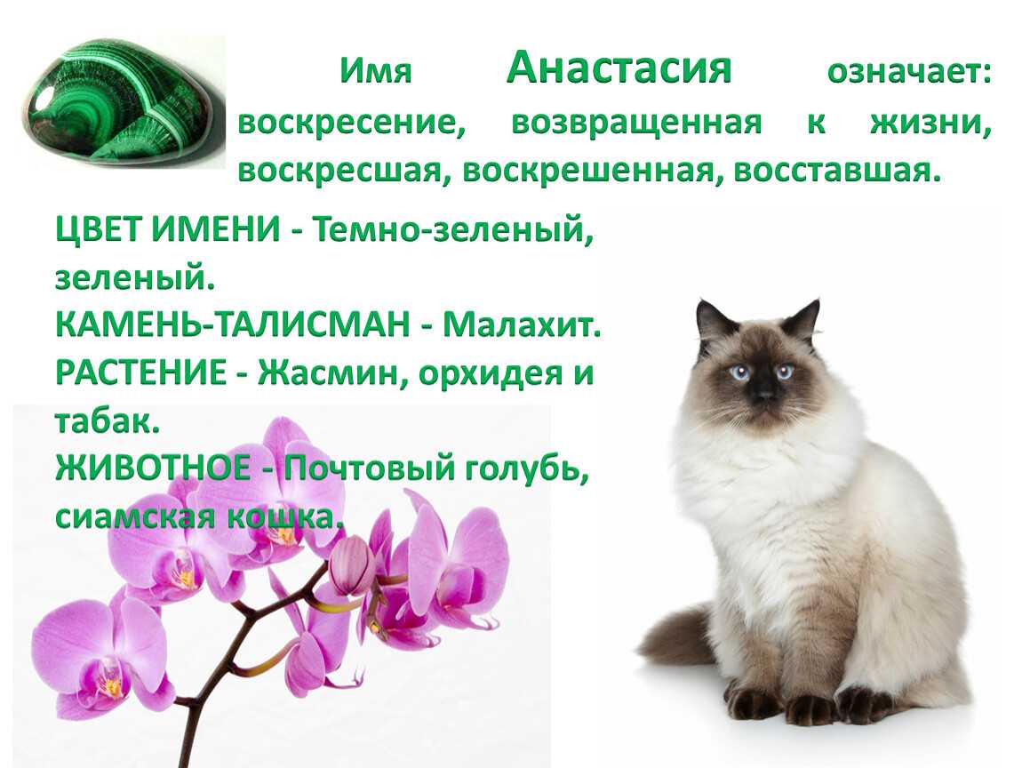 Значение имени анастасия, происхождение, гороскоп, совместимость