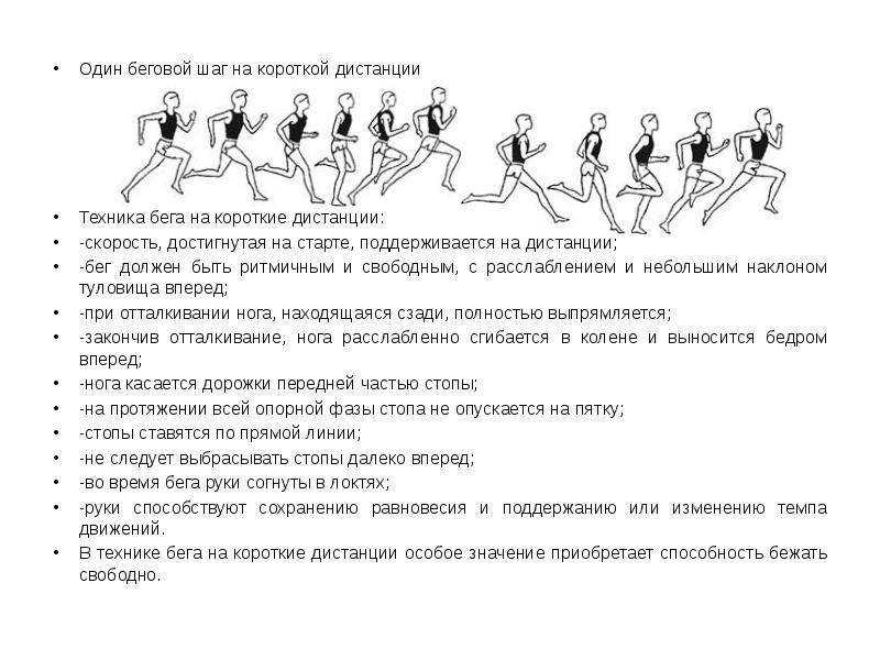 Реферат на тему: спринтерский бег
