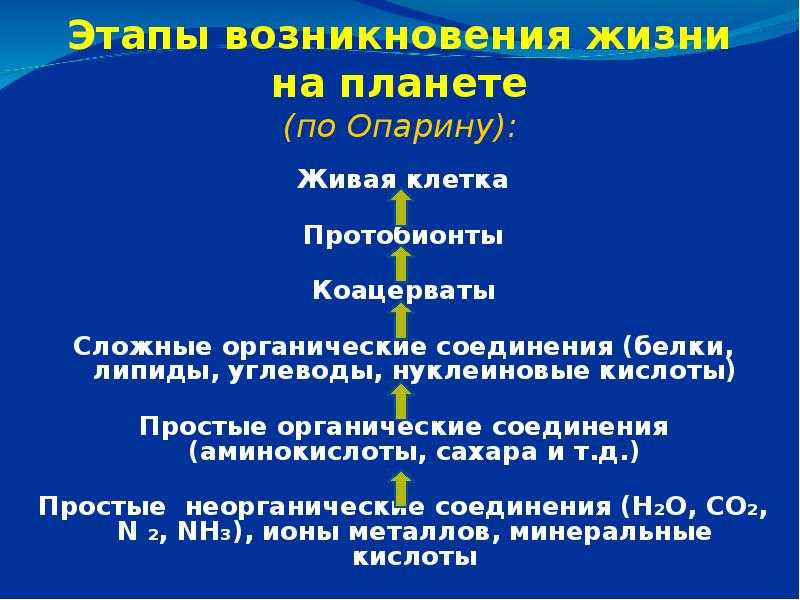 7 научных теорий о происхождении жизни (и 5 ненаучных версий того же)