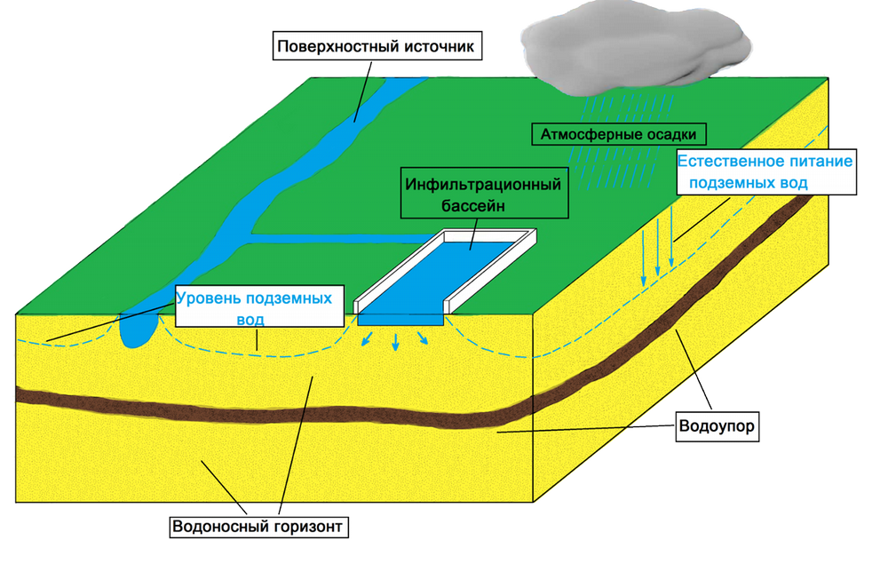 Река, озеро и болото: в чем различия?