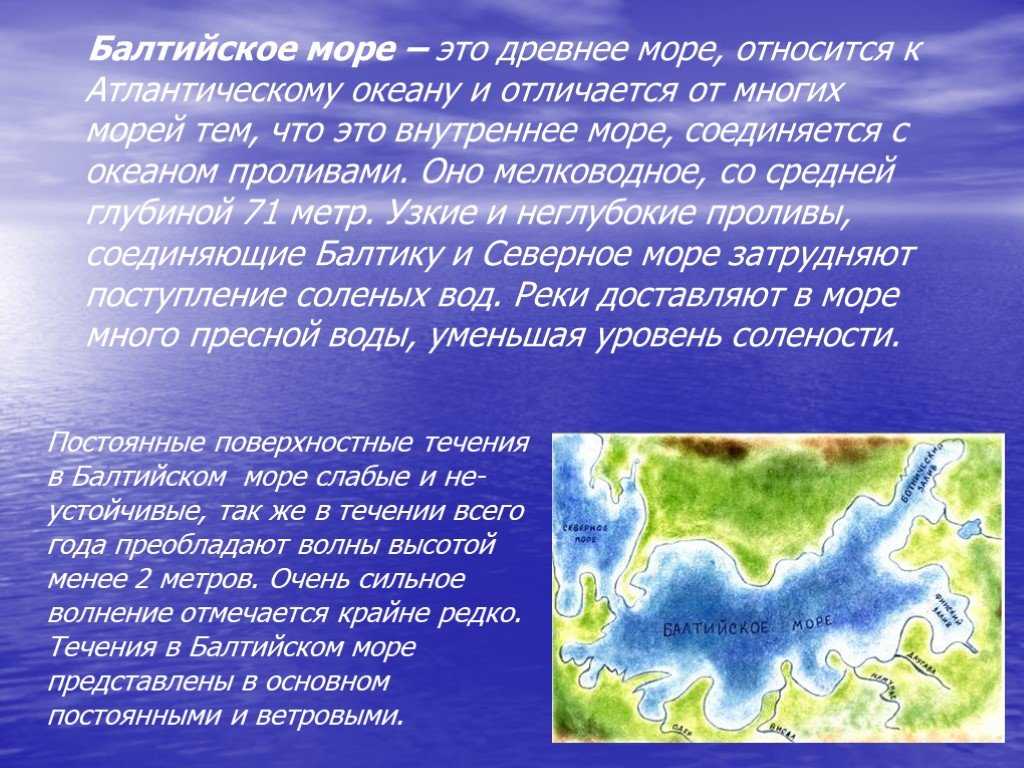 Экосистема балтийского моря