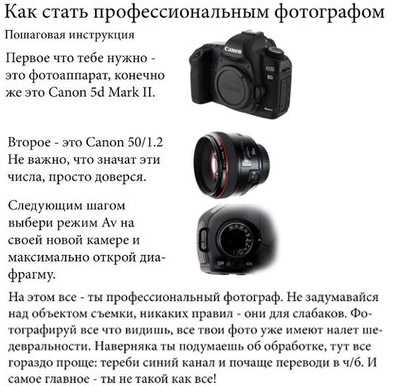 Высшее образование и фотошколы для начинающих фотографов