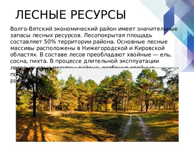 Описание волго-вятского экономического района. особенности эгп волго-вятского района; влияние эгп на развитие хозяйства