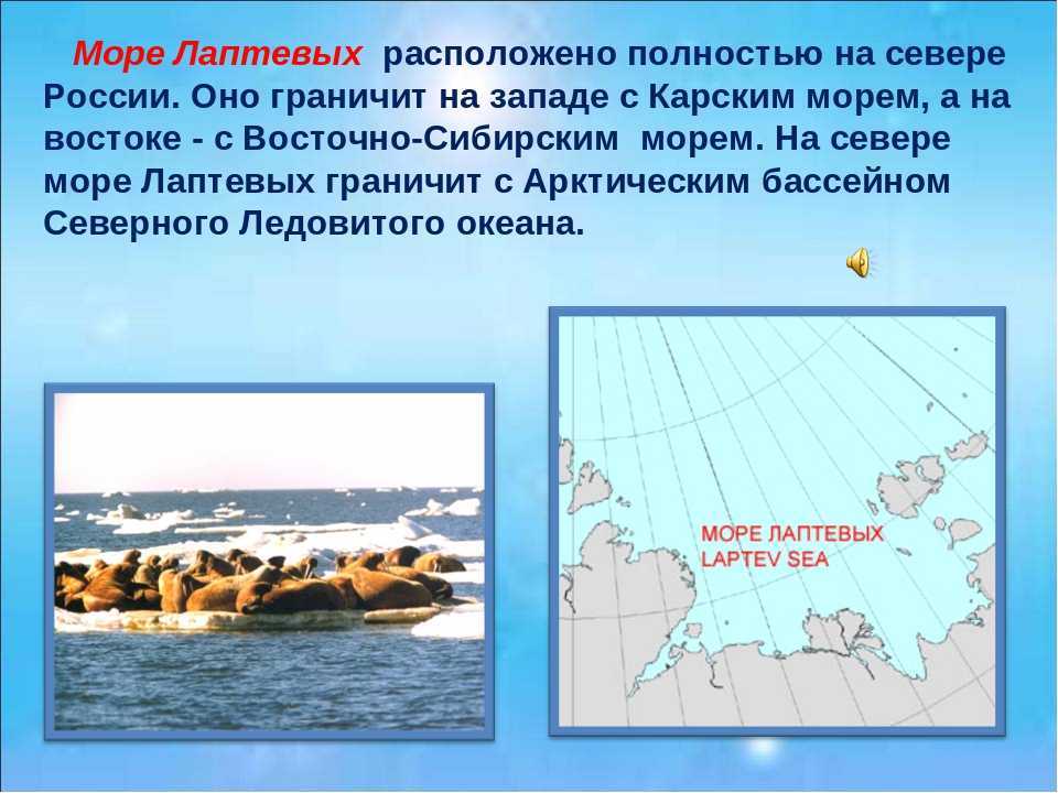Море лаптевых на карте, соленость, площадь, биологические ресурсы и глубина
