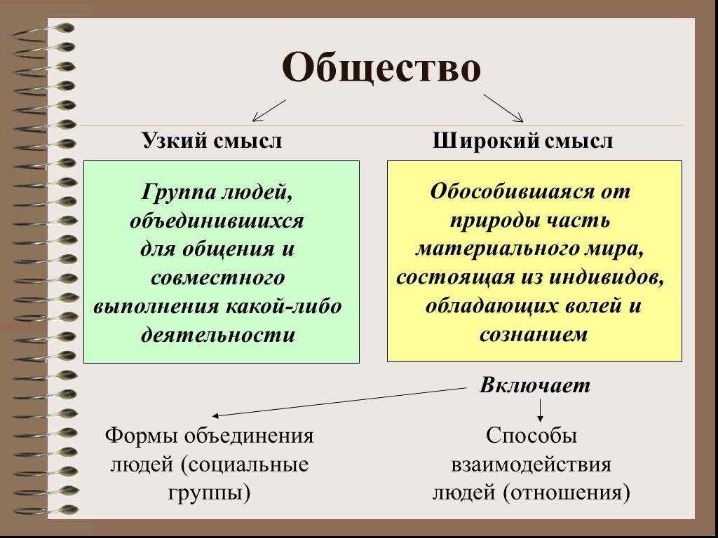 Социальные группы: признаки, виды, функции | блог 4brain