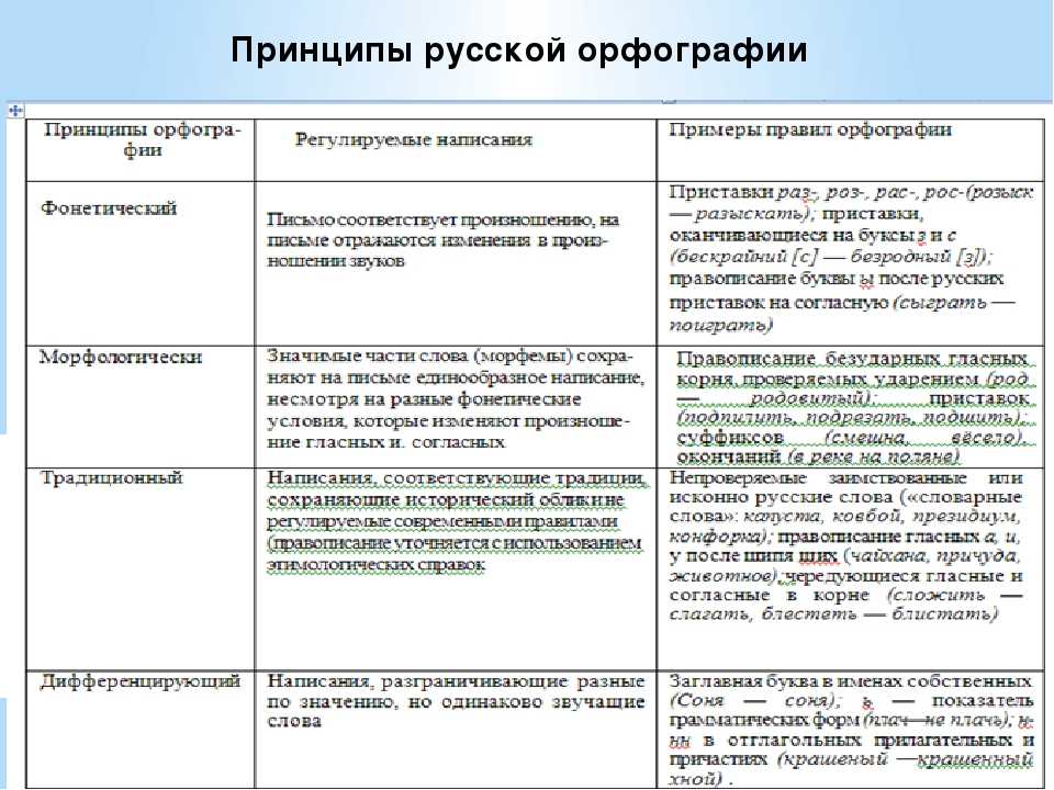 Орфографические правила: что это такое и для чего они нужны