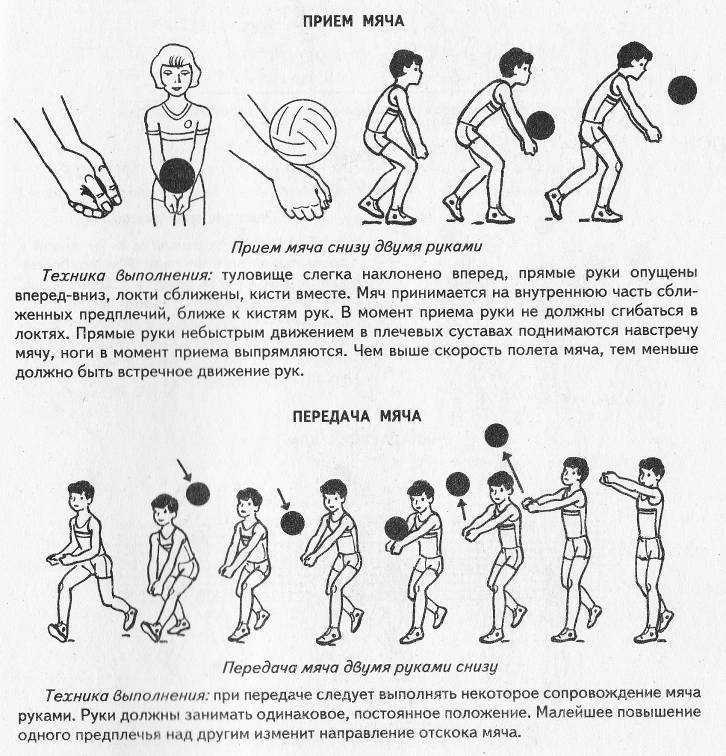 Правила игры в волейбол 🏐 характеристика и основные правила игры