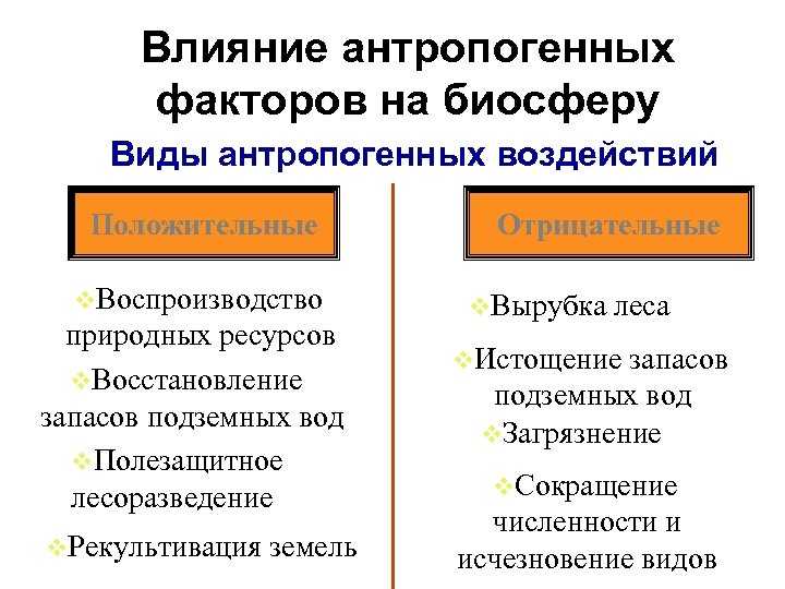Какое влияние человек оказывает на природу