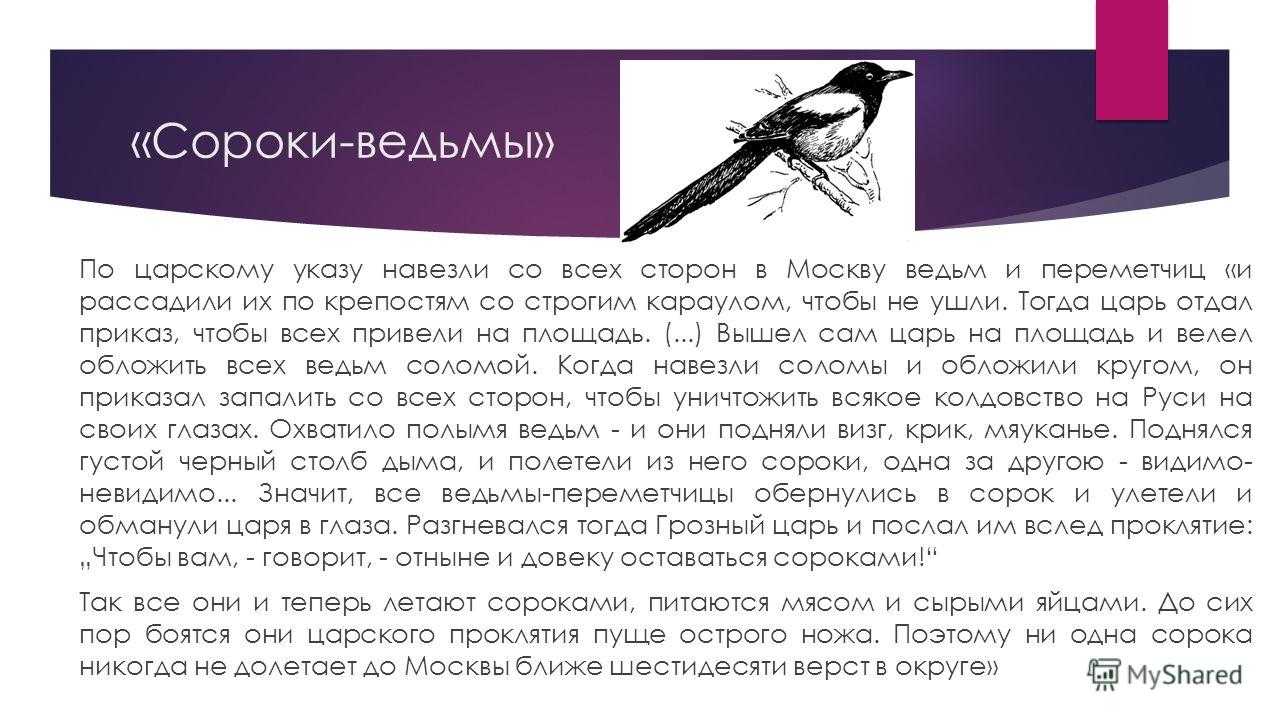 Понемногу: "сороки-ведьмы", "пётр и плотник", ответы на вопросы учебника 7 класс