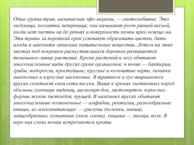 Описание местности презентация, доклад, проект
