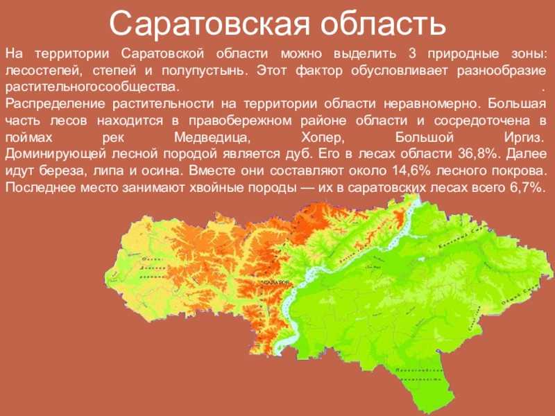 Саратовская область - рейтинг региона, климат, уровень жизни, преступность. вся статистика саратовской области.