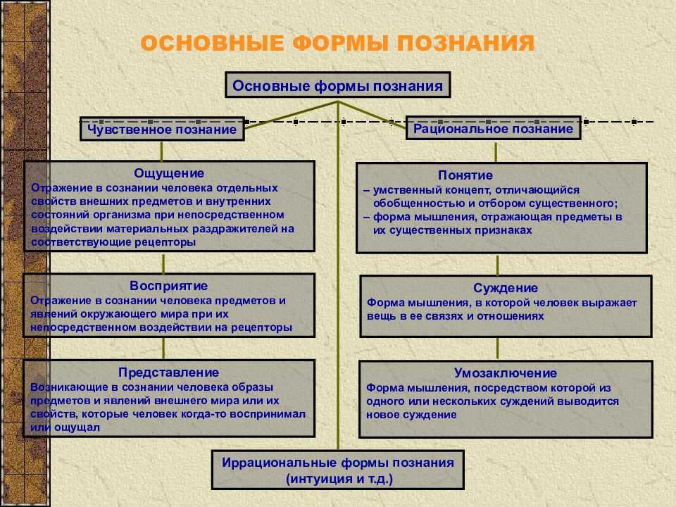 Ощущение, восприятие и представление: понятия и их роль в обществознании