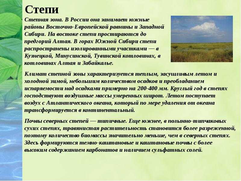 § 18. растительный и животный мир россии