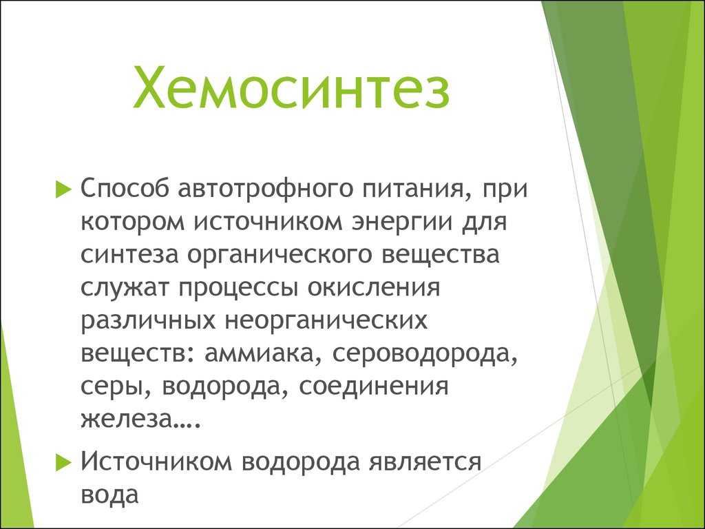Классификация организмов по способу питания и получения энергии | virtual laboratory wiki | fandom