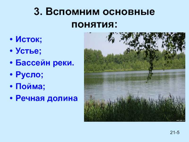 Осетр: где водится в россии (морская и речная рыба), сколько живет