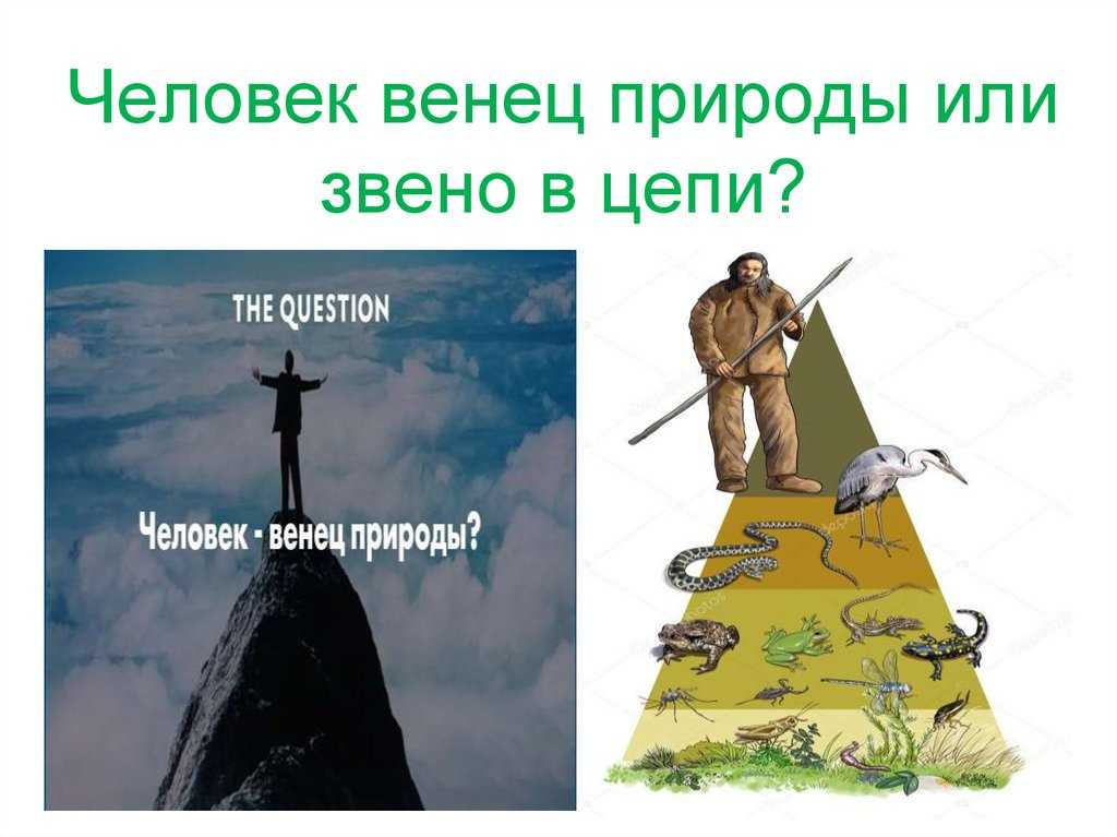 Человек - венец природы: аргументы за и против. как заполнить таблицу.