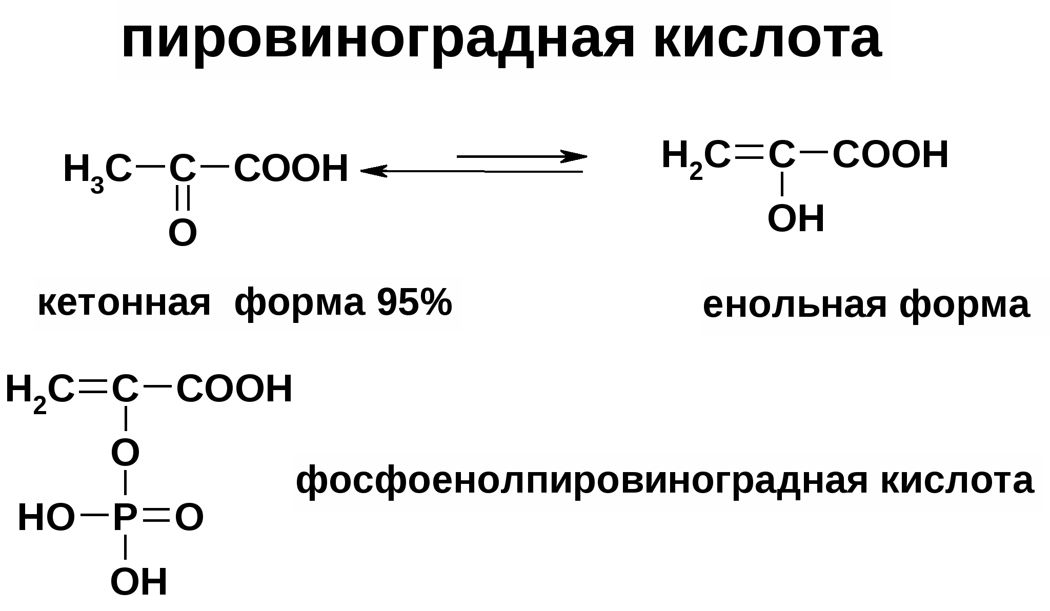 Энергетический ⭐️ обмен в клетке: описание и характеристики процессы, примеры обмена