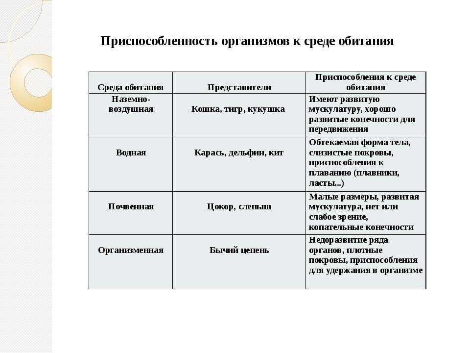 Относительный характер приспособленности ежа обыкновенного