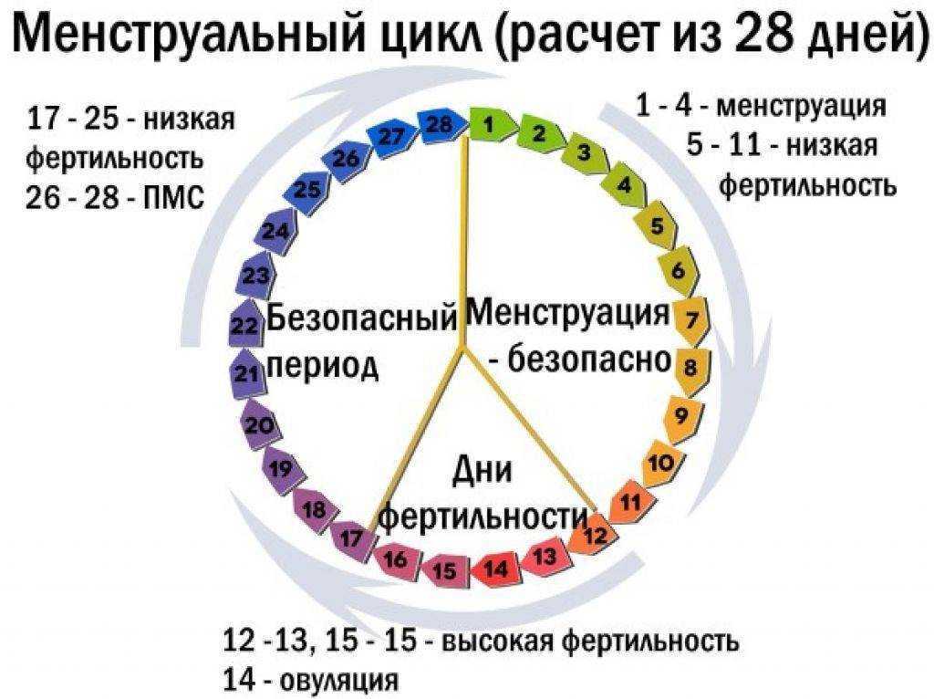 В каких случаях может наступить беременность у девушки и женщины, когда можно и нельзя забеременеть?