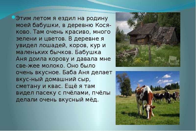 Сочинение: «как я провел лето для 1, 2, 3, 4, 5 и 6 классов»