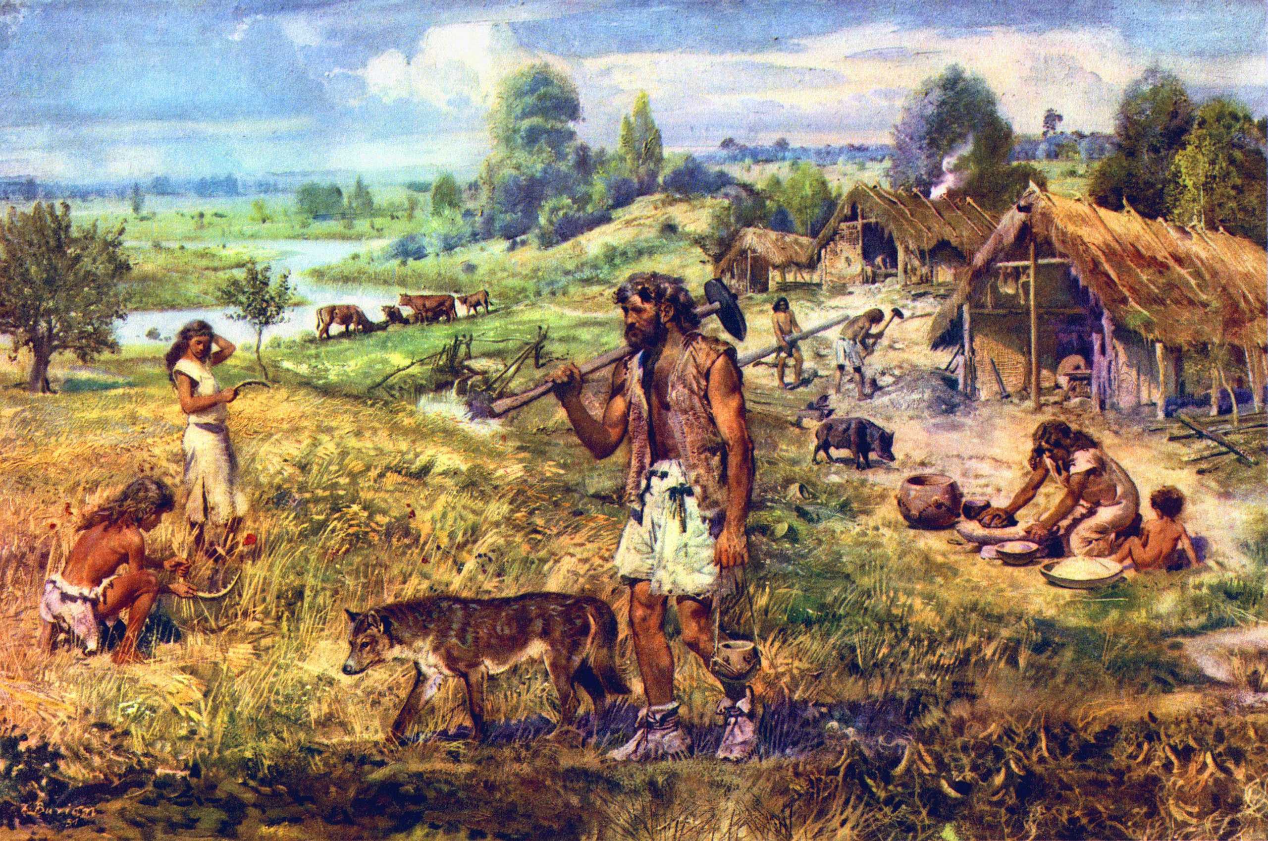 История (5 класс) — викиверситет