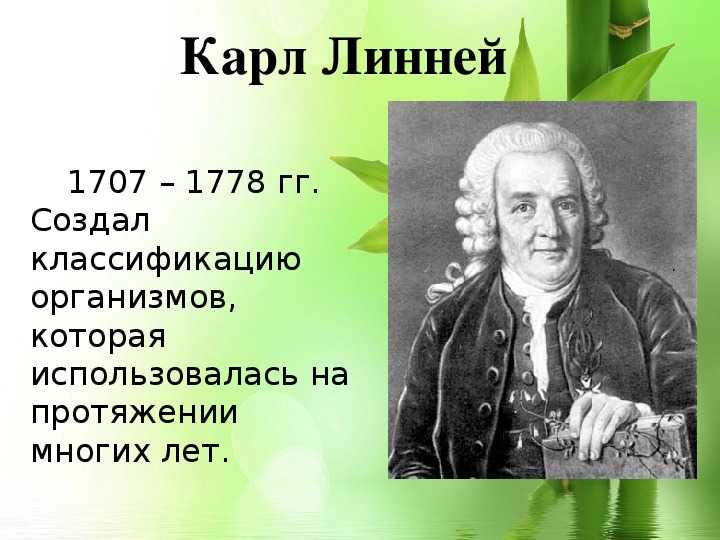 Аристотель - великий естествоиспытатель сообщение доклад 5 класс кратко