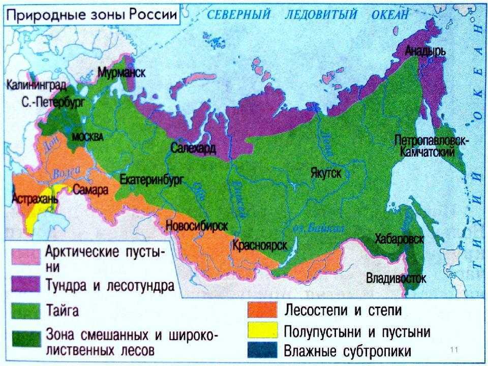 Доклад-сообщение о природных зонах россии — природа мира