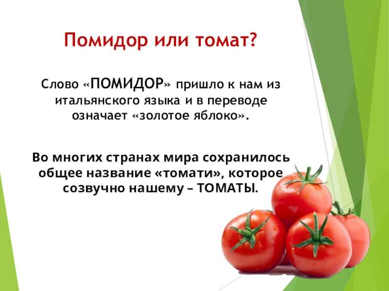 Что такое урожай кратко
