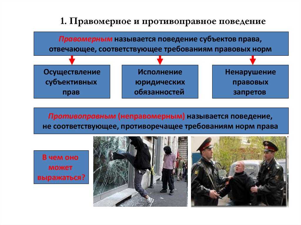 Правомерное и противоправное поведение: различия и примеры