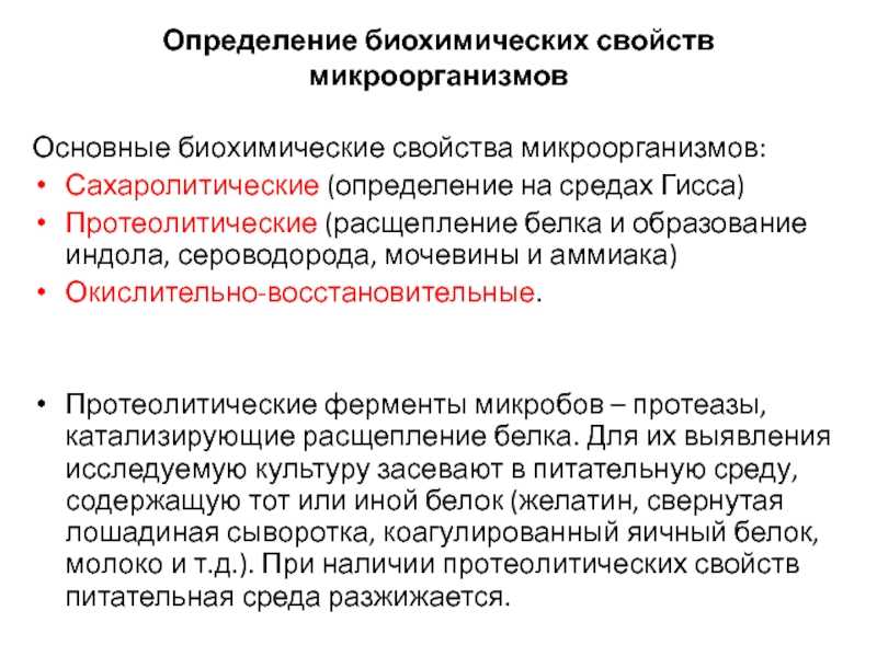 Свойства бактерий: биохимические, антигенные, гемолитические, полезные и вредные