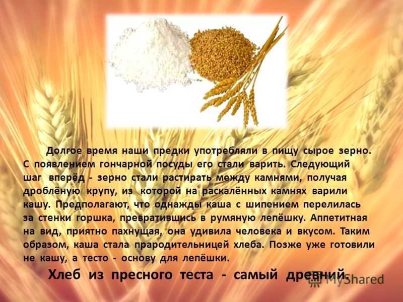 Сочинение на тему хлеб всему голова 5 класс русский язык
