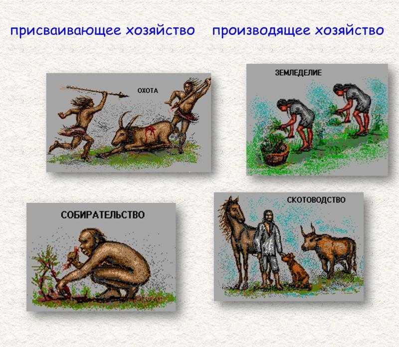 Чем отличается присваивающее хозяйство от производящего?
