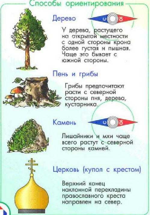 Как ориентироваться по звездам
