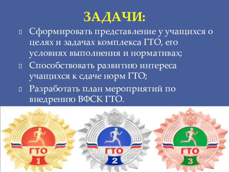 Комплекс гто: ключевой инструмент развития физкультурного движения