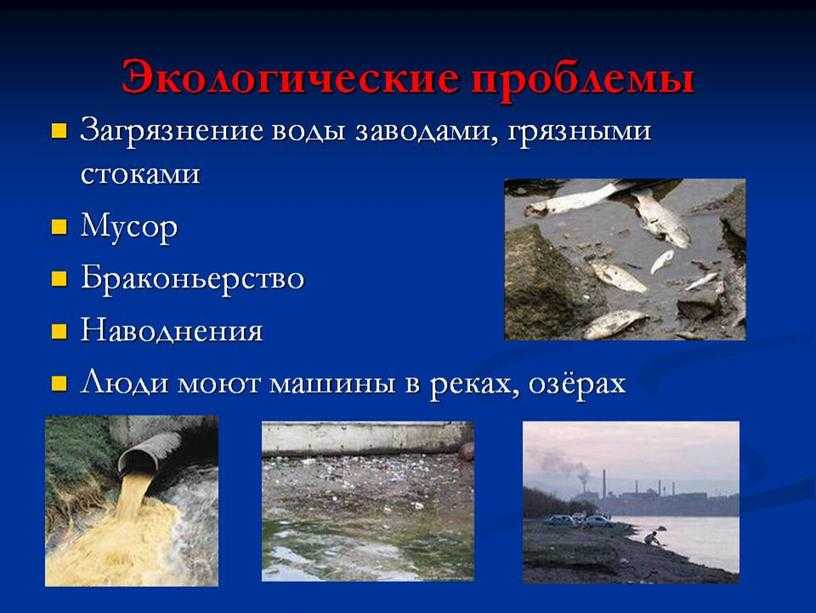 Экологические проблемы реки лена: источники загрязнения ее вод и берегов