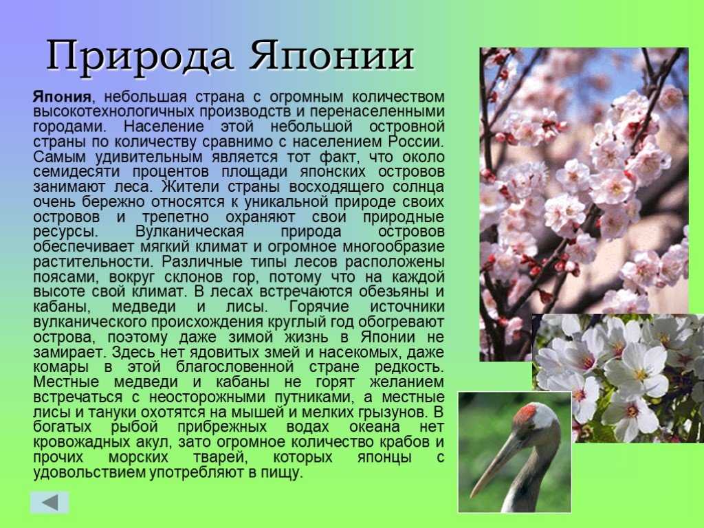 Презентация по окружающему миру на тему япония (3 класс)  доклад, проект